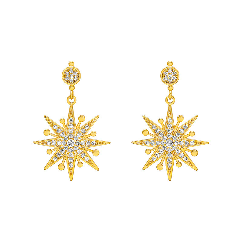 925 Silver Needle Alloy Fashion New Eight-pointed Star Earrings Ear Jewelry For Women display picture 5