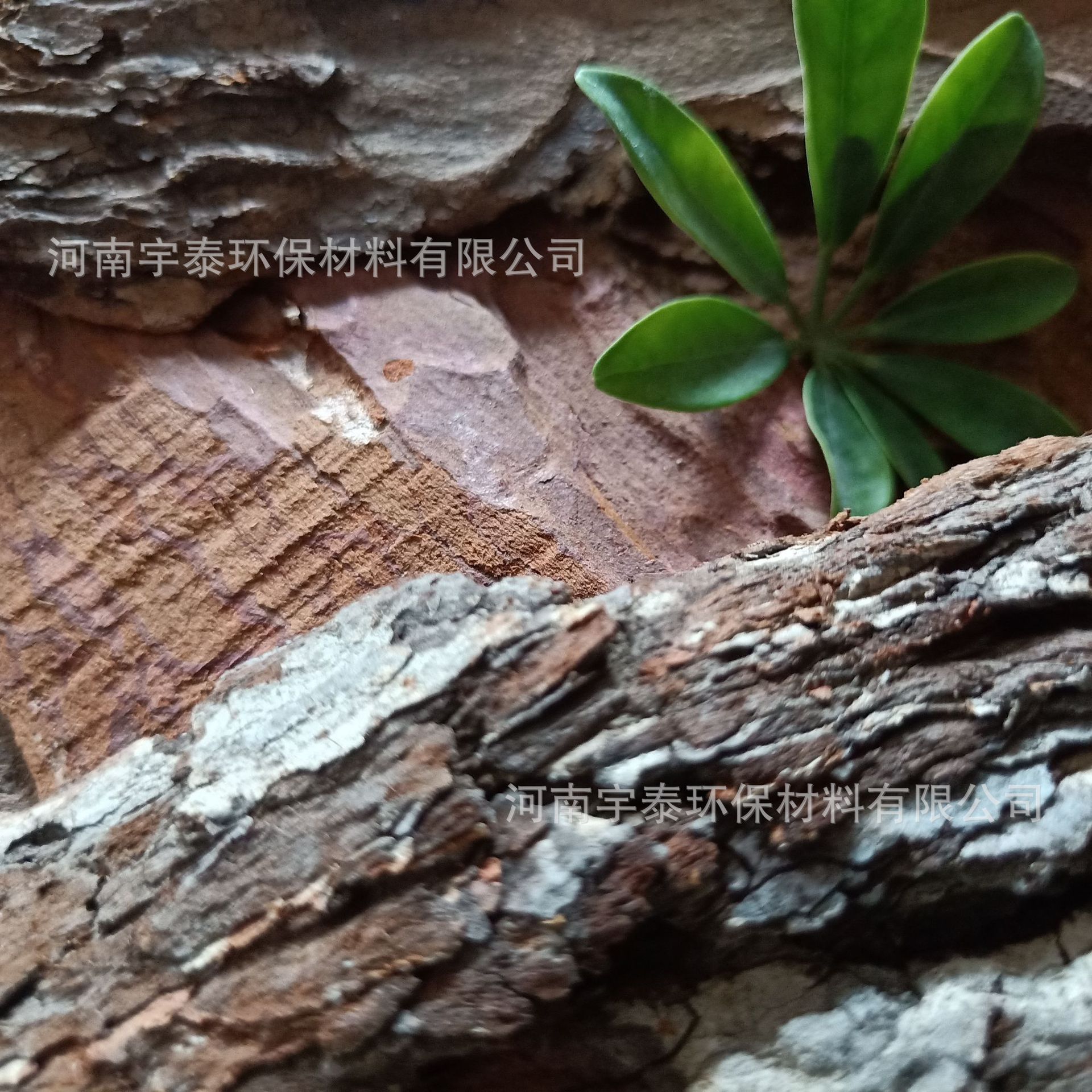 定制松树皮发酵打磨抛光松树皮松鳞兰花铁皮石斛栽培基质马尾松-阿里巴巴