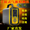 Portable oxygen Tester concentration Probe analysis Alarm portable oxygen O2 Tester detector