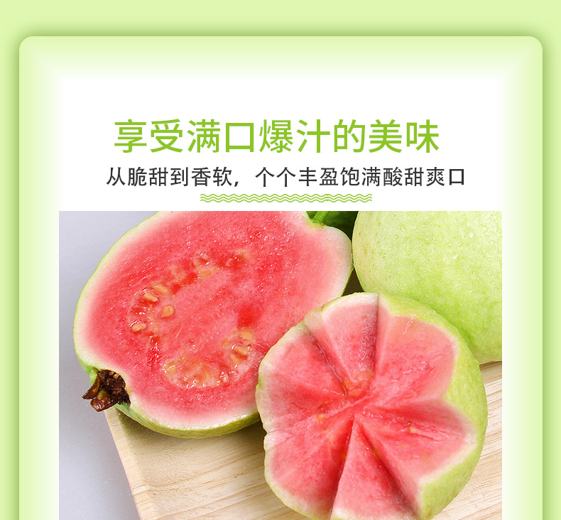 红心芭乐_04.jpg