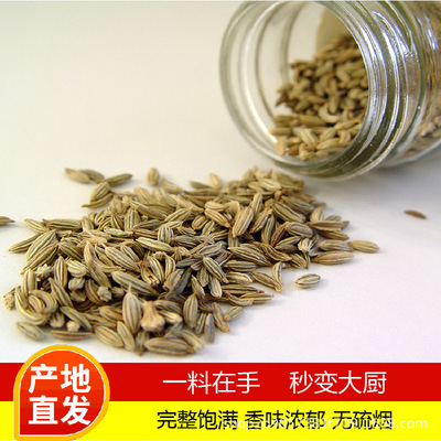 小茴香特産散裝産地貨源色綠調味品蒸鹵火鍋底料無雜質50g滿10減5