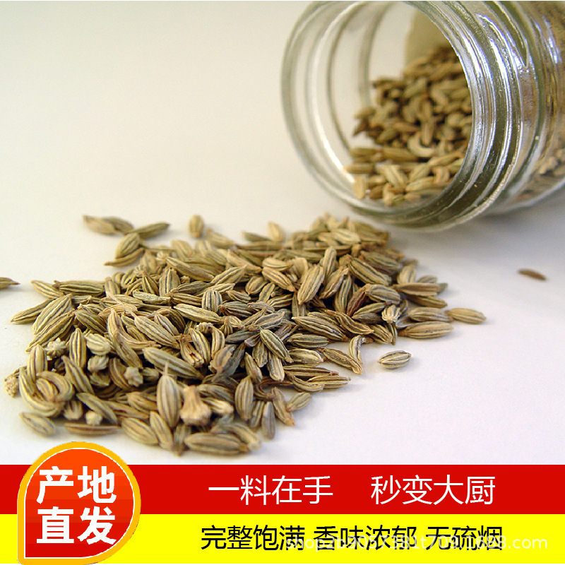 小茴香特産散裝産地貨源色綠調味品蒸鹵火鍋底料無雜質50g滿10減5