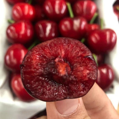 Shandong Yantai Meizao Cherry 3 fresh fruit Cherry Should pregnant woman FCL 5 goods in stock