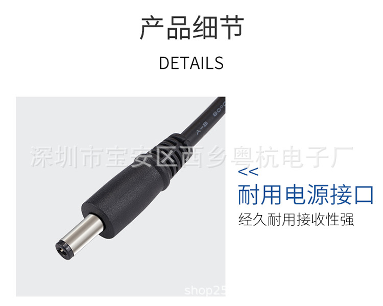 Charger_12.jpg