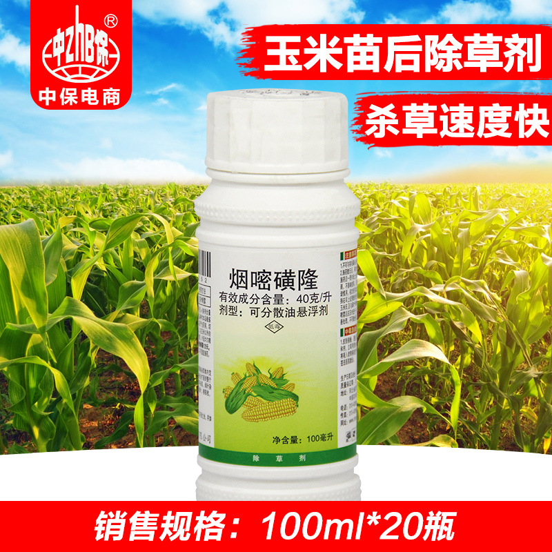 Academy Manufactor Maize seedling Use Herbicide nicosulfuron Herbicide 100 Milliliter 20 Bottle