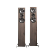 Ӣ AE AE309  HIFI