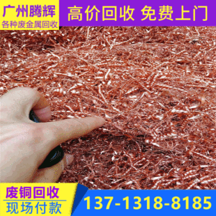 �U�~��ُ�S�� �U�S�~ɳ���� �U�~�r����������2020