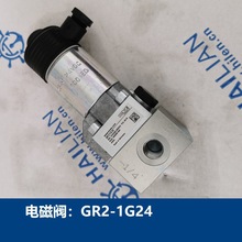 늴œQyHAWE GR2-1-G24 SOLENOID VALVES