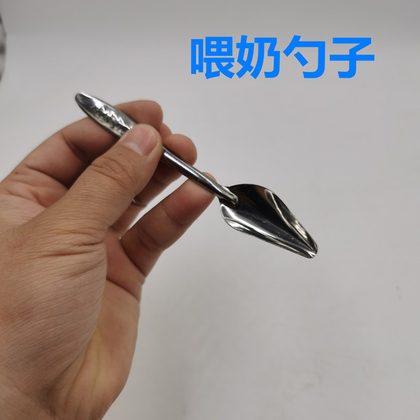 Parrot feed spoon