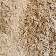 �F؛ ����ë�q ë�q������� ��ë�� ��ë������ ����ëƤ