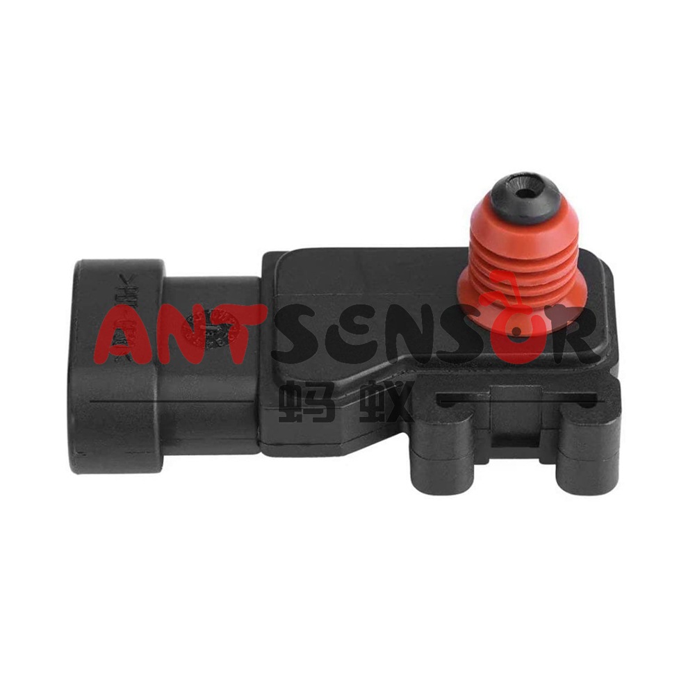 51FpwABv1LL._AC_SL1002_