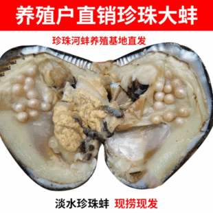 ��ˮ��������l5-10���r��������w����Ӱ��Bֳ����ֱ�l����ؐ