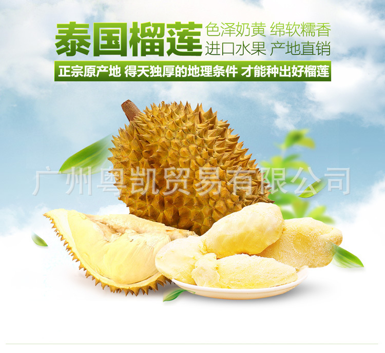 3069646552_1982606497