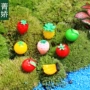 景观迷你仿真多肉植物材料