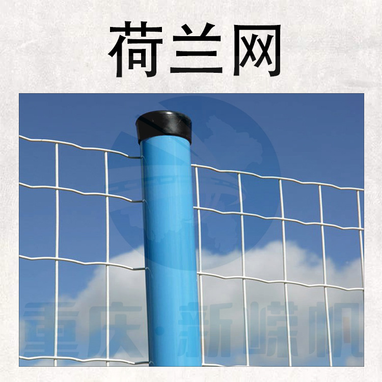厂家直销荷兰网 养殖圈地荷兰网 防护围栏网 围栏 建筑围网
