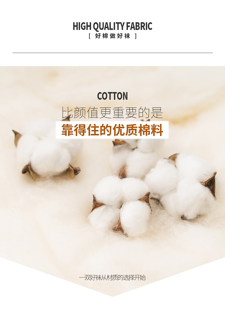 小熊竖条纹_02.jpg