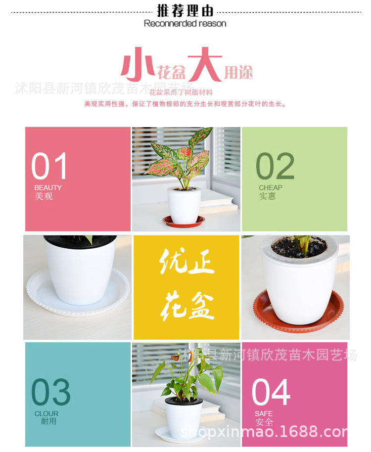 托盘 (6)