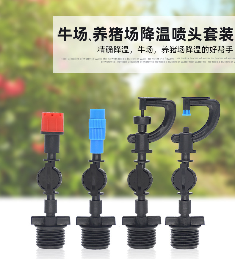 cccccccccccccccccccccccccccc-恢