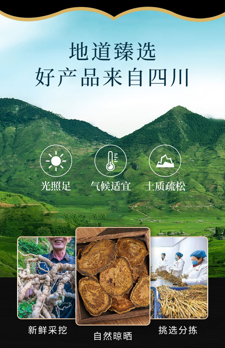 Da Huang Slices & Powder (Rheum palmatum) — Dried Rhubarb Root, Naturally Sun-Dried overview