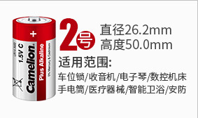2号电池 碱性电池 C