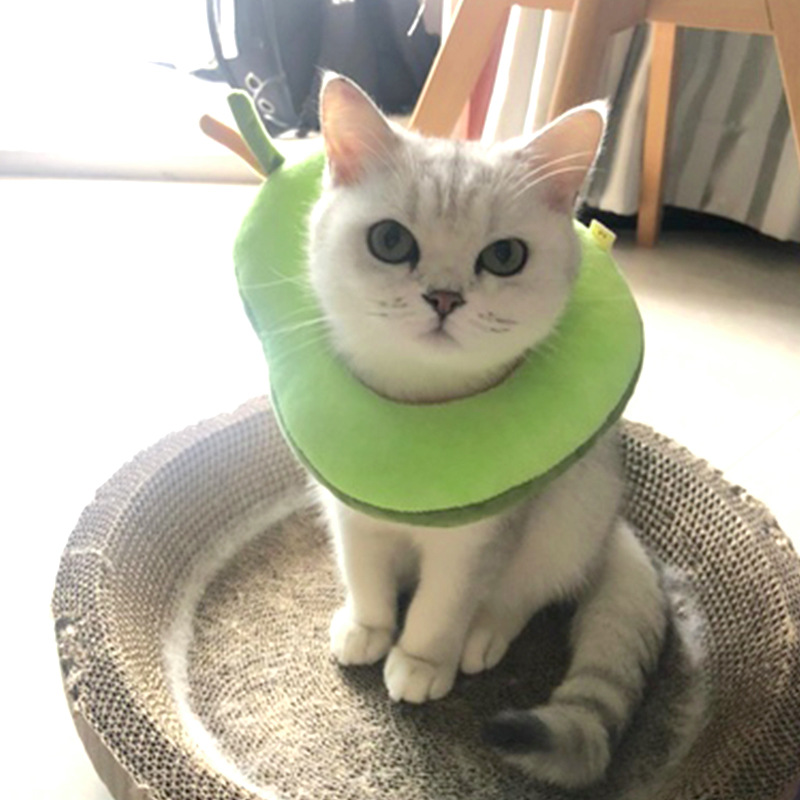 Pet Recovery Collar Image 1