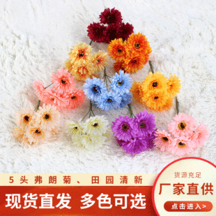 �������ʾշ��滨���޾�̫ꖻ����컨���S��ֱ�l��˹��С�r��Ұ��