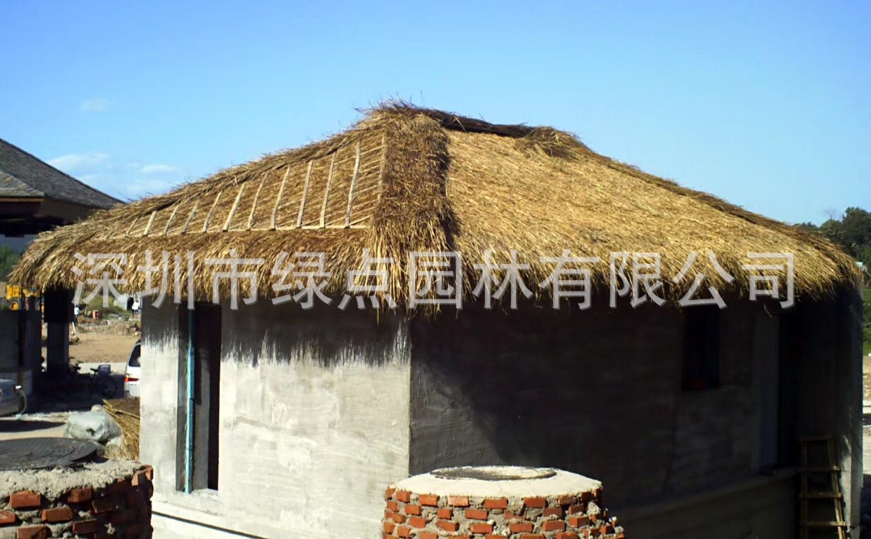 黄茅草屋顶 (15)