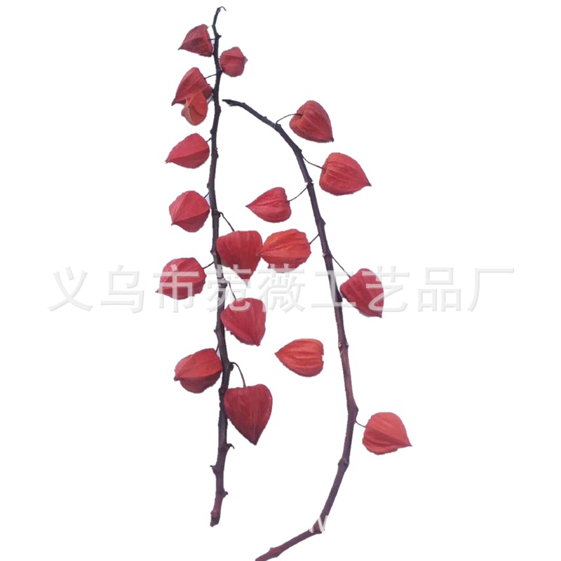 微信图片_20200422224026