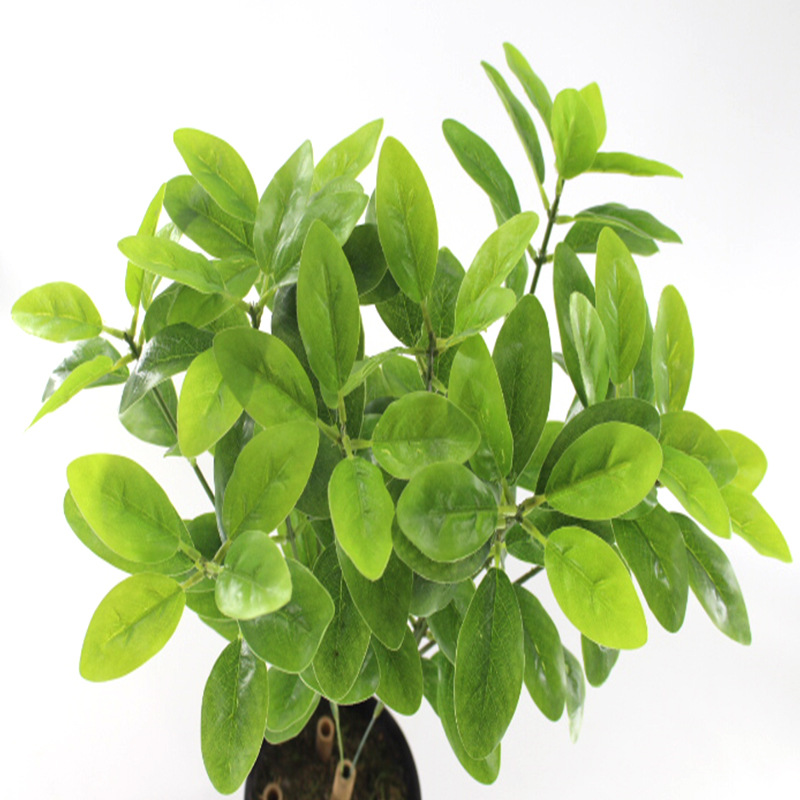 XRB-231 桔子皮小5枝5.jpg