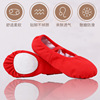 New style -free dance shoes, soft soles, practice ballet dance belly dance cat paw shape test dance shoes