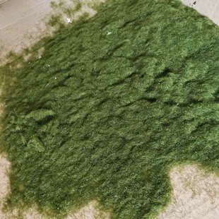 ë��ֲëʯƤ����������̦���辰ֲ��̦�\����ƺ��ĩ��c�b�