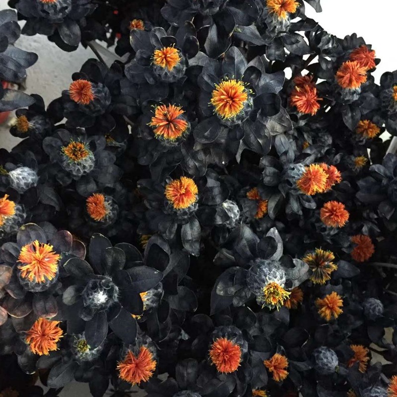 微信图片_20200209012945