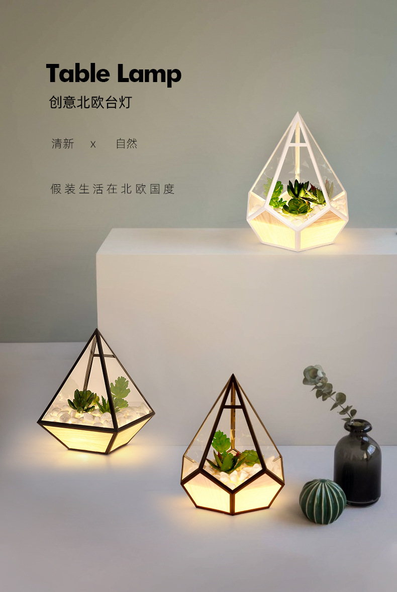 Succulent lamp_01.jpg