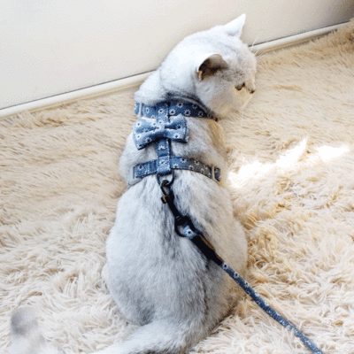 宠物牵引绳胸背带日式和风蝴蝶结猫咪牵引绳 遛猫神器猫链遛猫绳