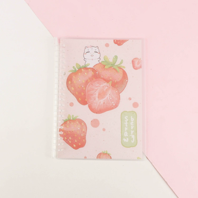 Stationery, suitcase, matte removable accessories, 5b, tear-off sheet