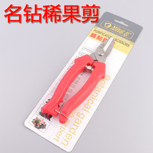 名钻摘果剪 稀果剪 圆头直头果枝剪疏果剪 葡萄 农业采摘五金工具
