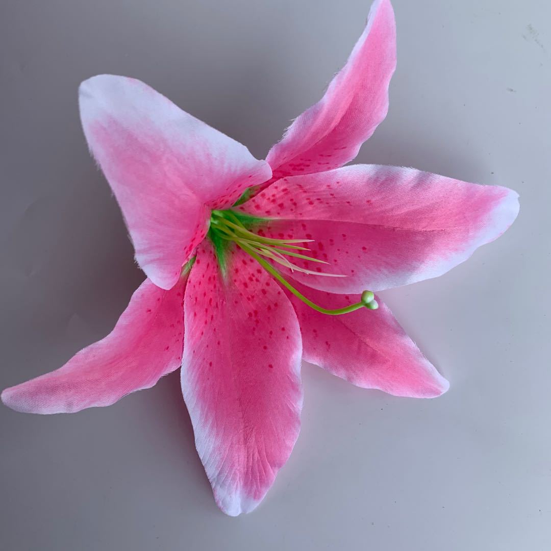 微信图片_2020050810460513