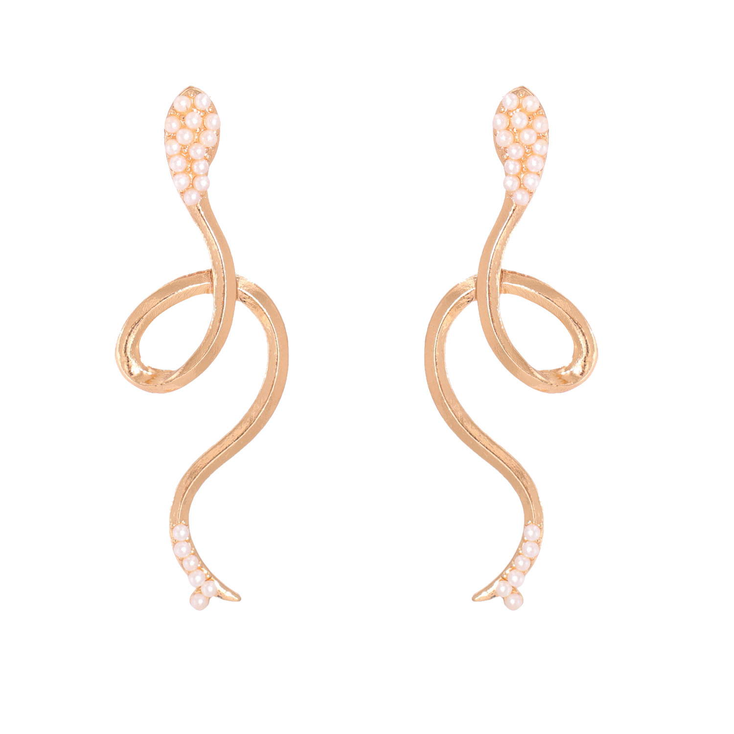 Boucles D&#39;oreilles Fantaisie Simples En Forme De Serpent display picture 1