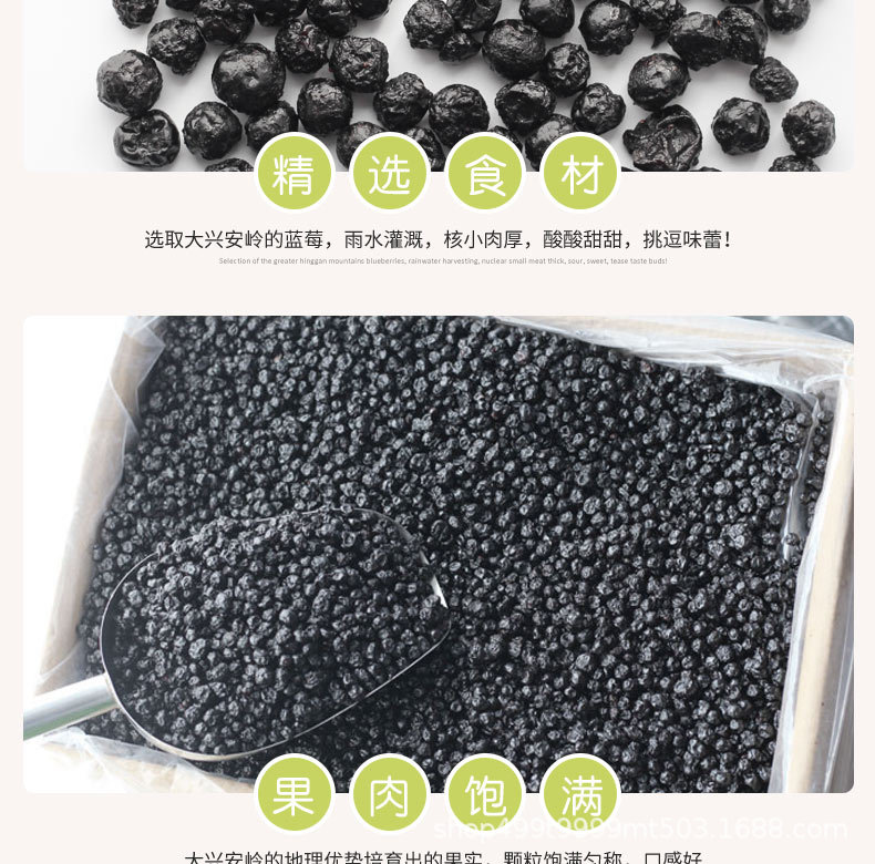 榛松联盟蓝莓_05.jpg