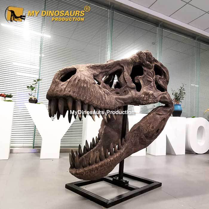 大号仿真恐龙头骨模型 怪兽霸王龙玻璃钢骨骼拼装化石骨架