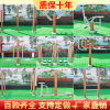 WPC outdoors Residential quarters Bodybuilding equipment combination square Park Community the elderly equipment Facility outdoor Bodybuilding Path