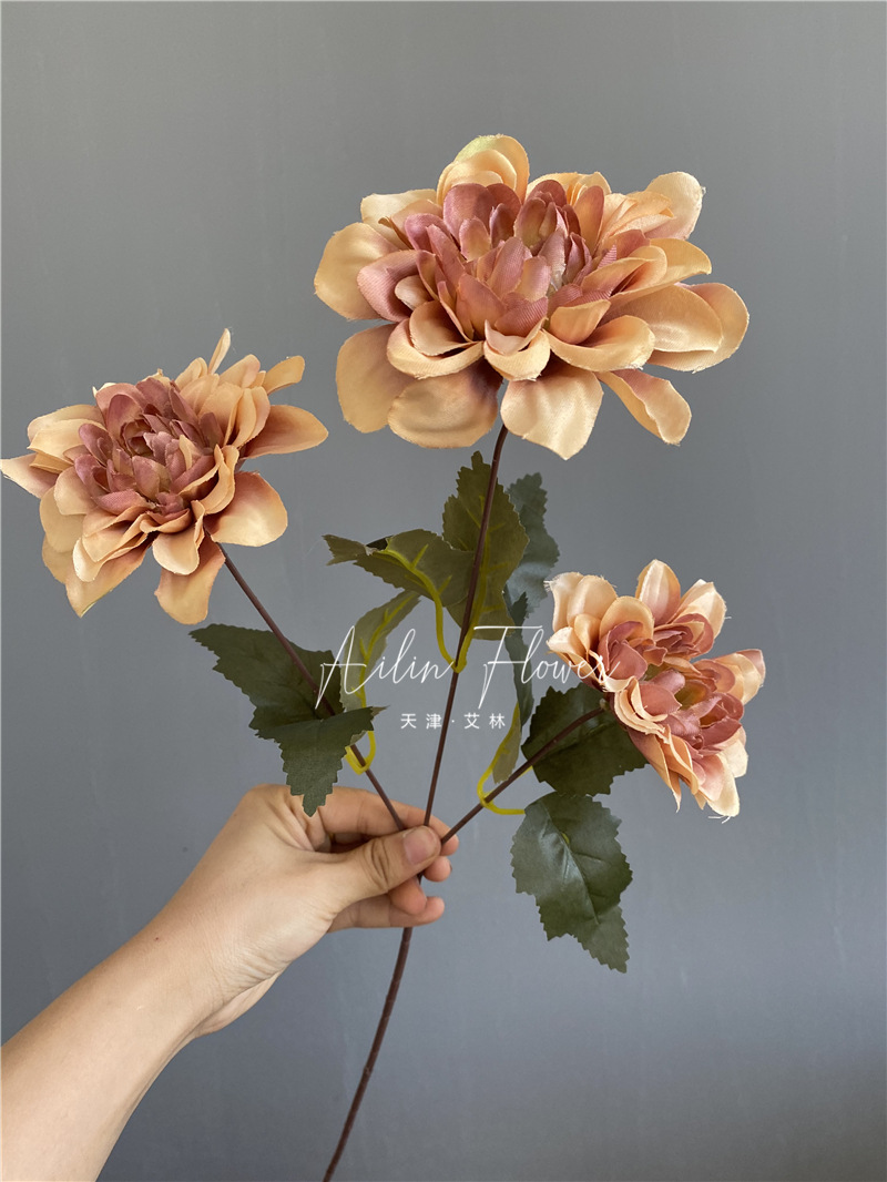 3 autumn colorful flowers