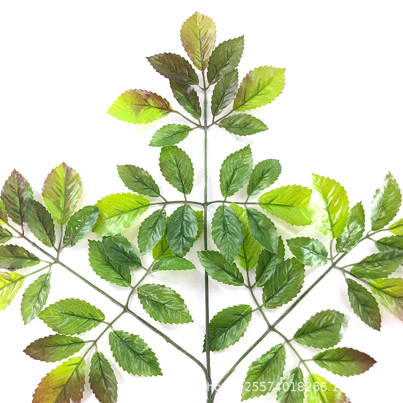 XRB-109 榆树叶三叉枝 (7).jpg