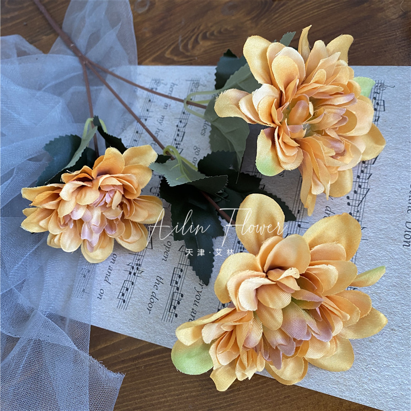 3 autumn colorful flowers