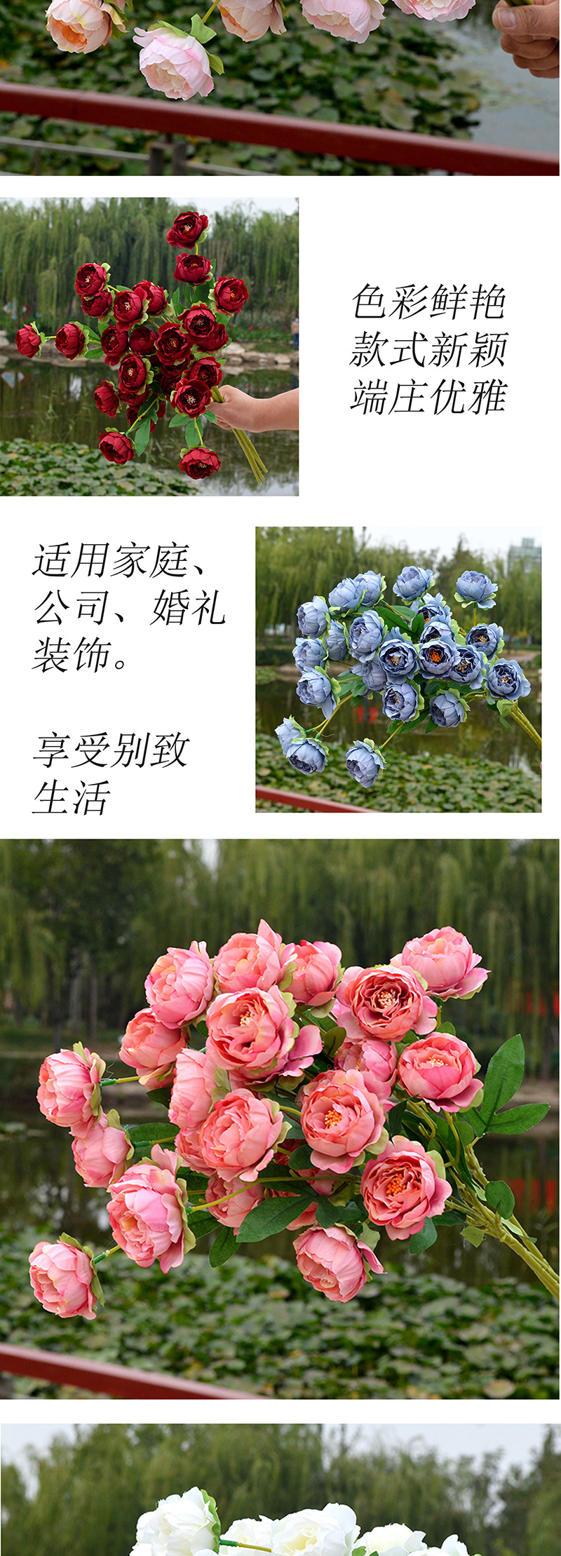 七头玲珑牡丹_04 拷贝.jpg