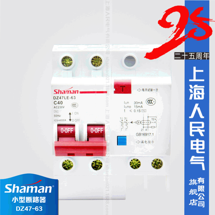 上海人民电气DZ47LE-63带漏电保护2极2P小型断路器C型大壳40-63A