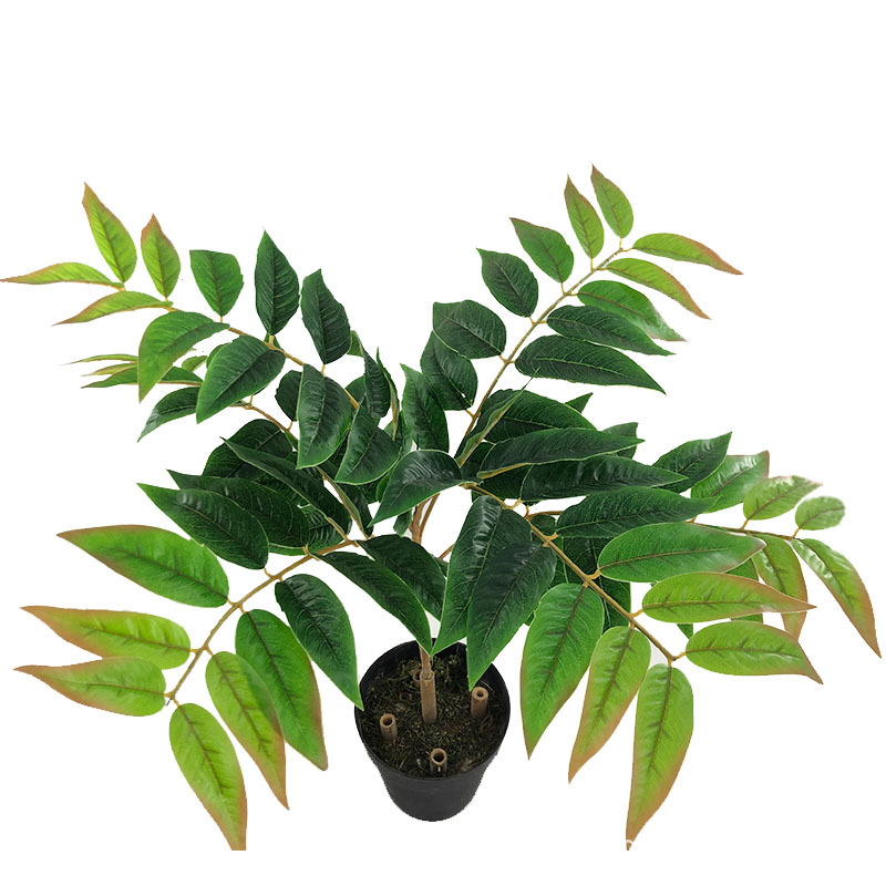 XRB-152 天堂叶六叉枝1.jpg