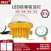 LED Explosion proof ceiling lamp 20W15W10W30WEX Solid-state maintain Tunnel lamp Cable trench Meet an emergency Explosion proof lamp