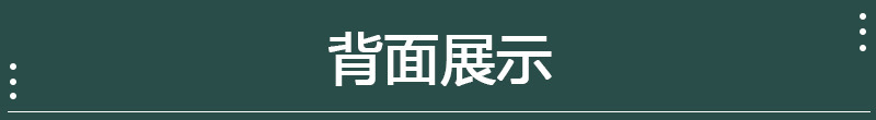背面展示