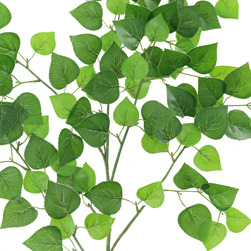 XRB-020 柏树叶五叉枝 (1).jpg